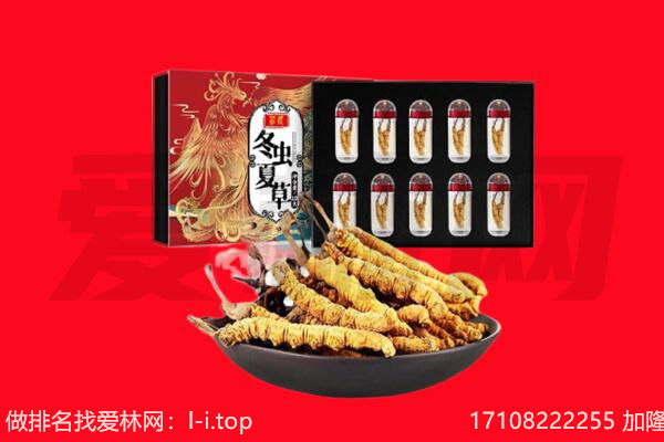 漯河市回收虫草.jpg